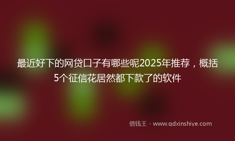 最近好下的网贷口子有哪些呢2025年推荐，概括5个征信花居然都下款了的软件