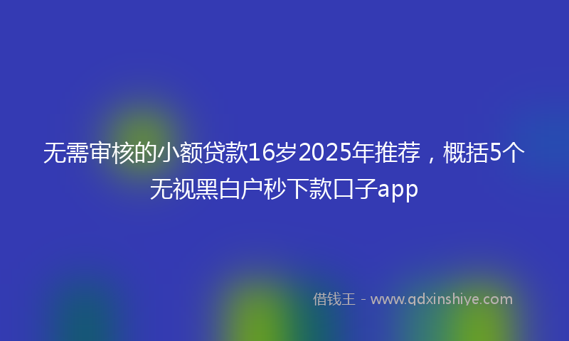 无需审核的小额贷款16岁2025年推荐，概括5个无视黑白户秒下款口子app