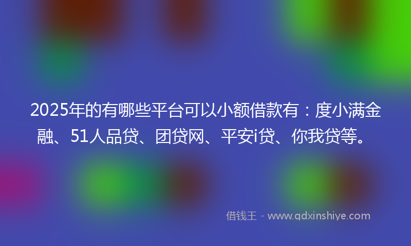 2025年的有哪些平台可以小额借款有：度小满金融、51人品贷、团贷网、平安i贷、你我贷等。