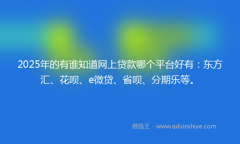 2025年的有谁知道网上贷款哪个平台好有：东方汇、花呗、e微贷、省呗、分期乐等。