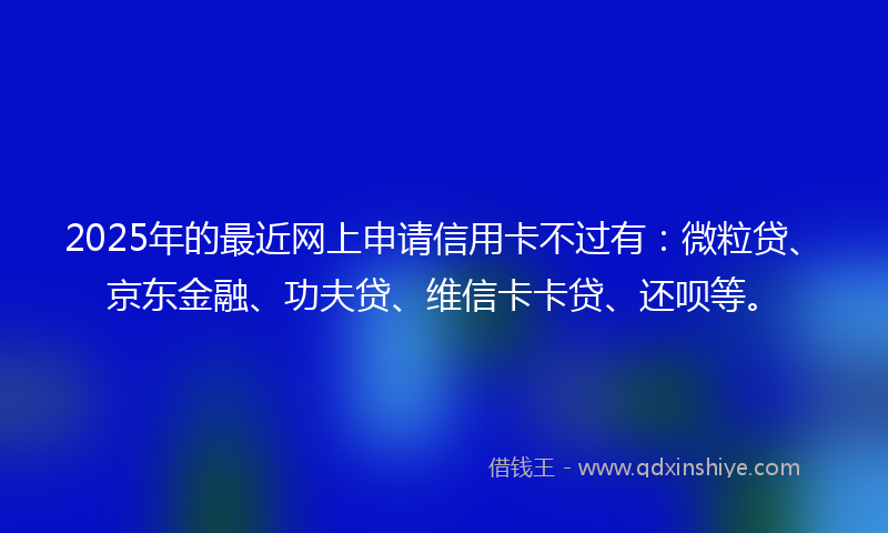 2025年的最近网上申请信用卡不过有：微粒贷、京东金融、功夫贷、维信卡卡贷、还呗等。