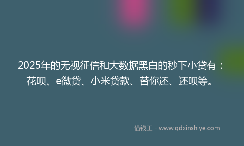 2025年的无视征信和大数据黑白的秒下小贷有：花呗、e微贷、小米贷款、替你还、还呗等。
