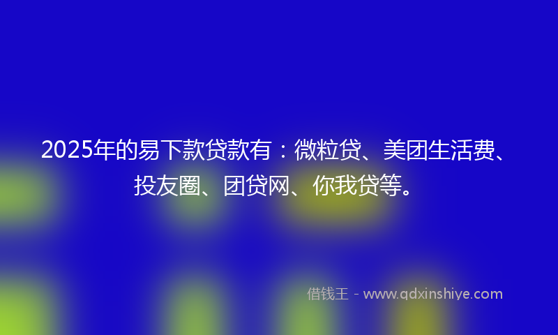 2025年的易下款贷款有：微粒贷、美团生活费、投友圈、团贷网、你我贷等。