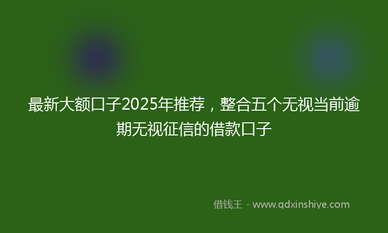最新大额口子2025年推荐，整合五个无视当前逾期无视征信的借款口子