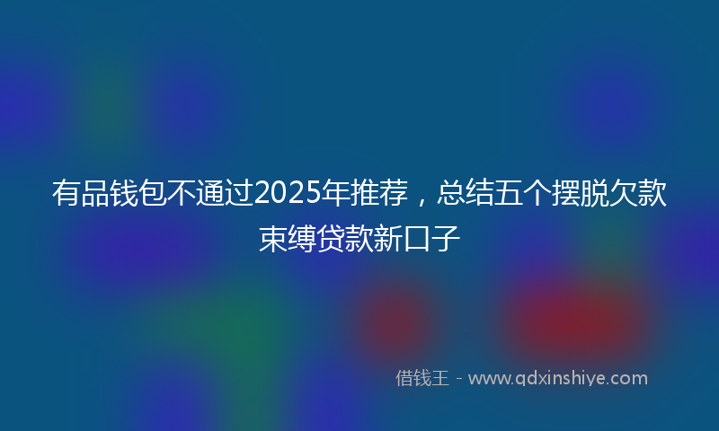 有品钱包不通过2025年推荐，总结五个摆脱欠款束缚贷款新口子