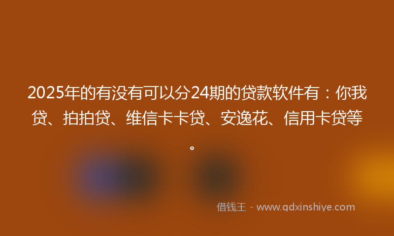 2025年的有没有可以分24期的贷款软件有：你我贷、拍拍贷、维信卡卡贷、安逸花、信用卡贷等。