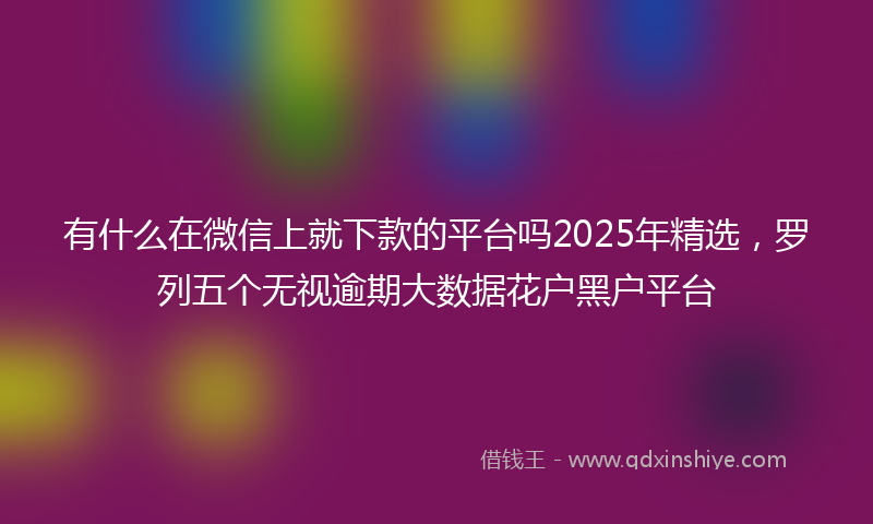 有什么在微信上就下款的平台吗2025年精选，罗列五个无视逾期大数据花户黑户平台