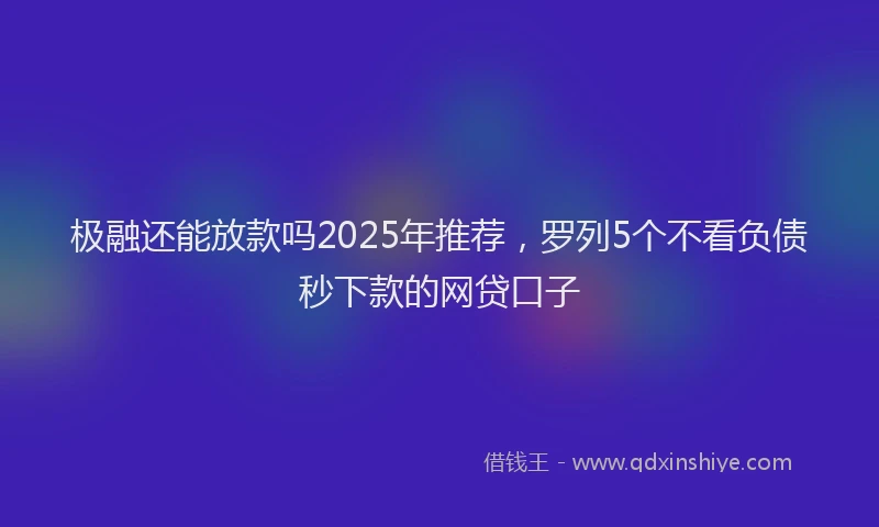 极融还能放款吗2025年推荐，罗列5个不看负债秒下款的网贷口子