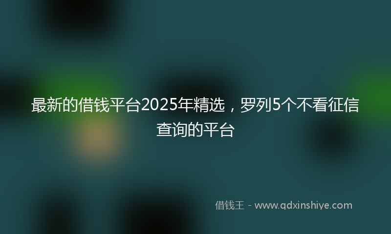 最新的借钱平台2025年精选，罗列5个不看征信查询的平台