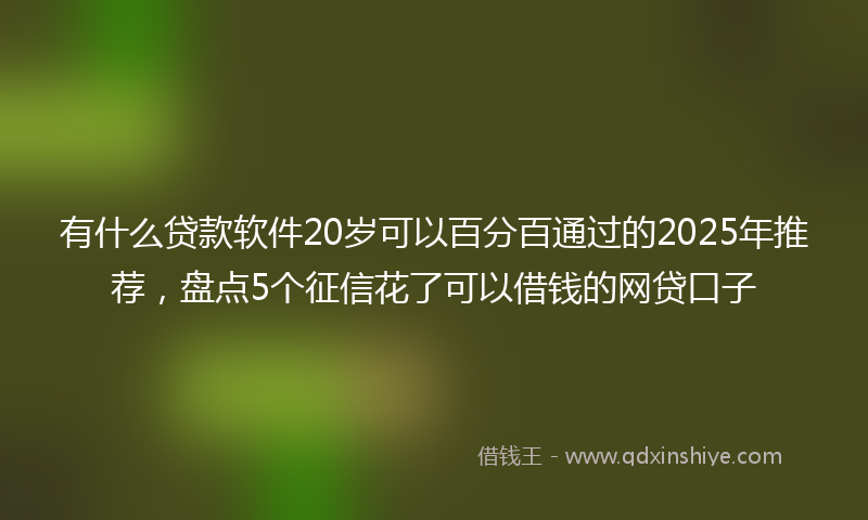 有什么贷款软件20岁可以百分百通过的2025年推荐，盘点5个征信花了可以借钱的网贷口子