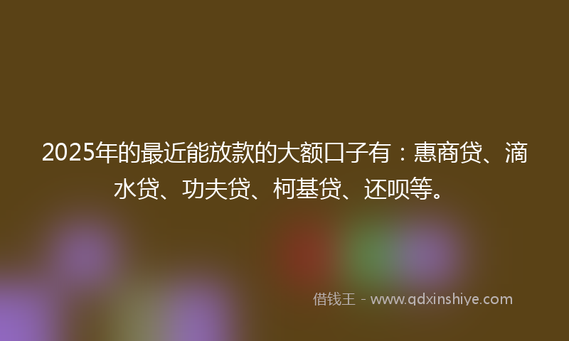 2025年的最近能放款的大额口子有：惠商贷、滴水贷、功夫贷、柯基贷、还呗等。