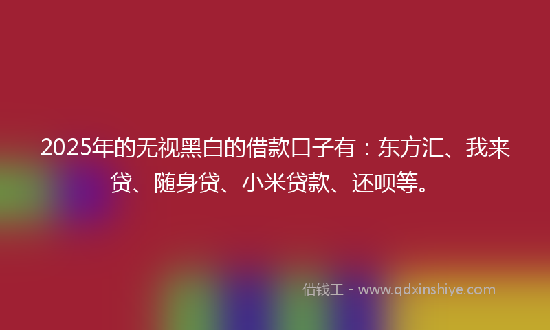 2025年的无视黑白的借款口子有：东方汇、我来贷、随身贷、小米贷款、还呗等。