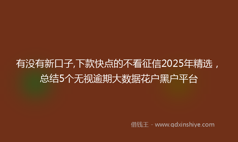 有没有新口子,下款快点的不看征信2025年精选，总结5个无视逾期大数据花户黑户平台