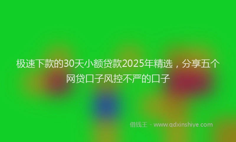 极速下款的30天小额贷款2025年精选，分享五个网贷口子风控不严的口子