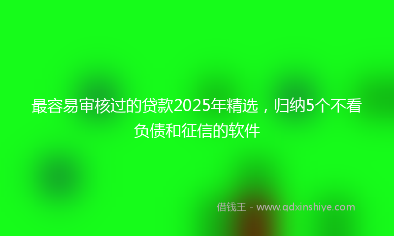 最容易审核过的贷款2025年精选，归纳5个不看负债和征信的软件