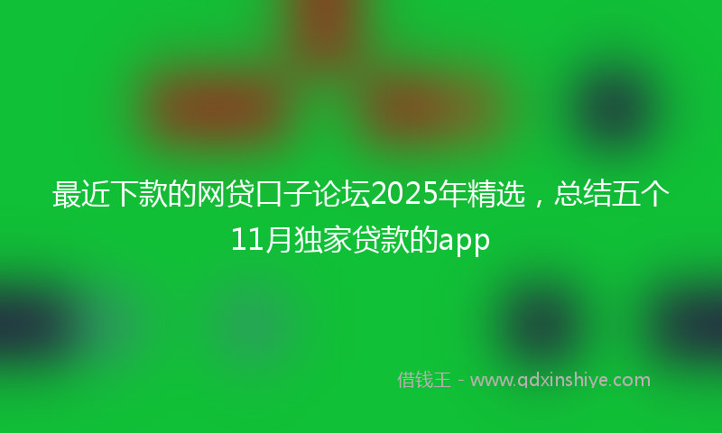 最近下款的网贷口子论坛2025年精选，总结五个11月独家贷款的app