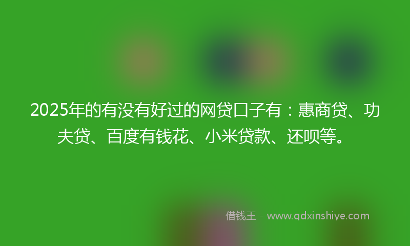 2025年的有没有好过的网贷口子有：惠商贷、功夫贷、百度有钱花、小米贷款、还呗等。