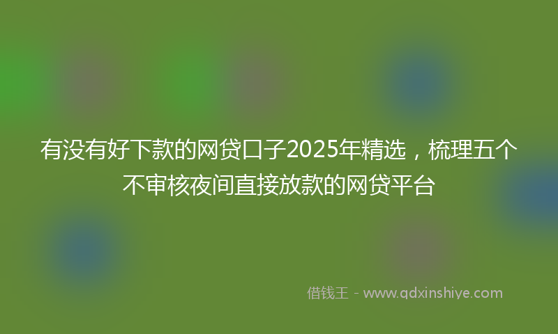 有没有好下款的网贷口子2025年精选，梳理五个不审核夜间直接放款的网贷平台
