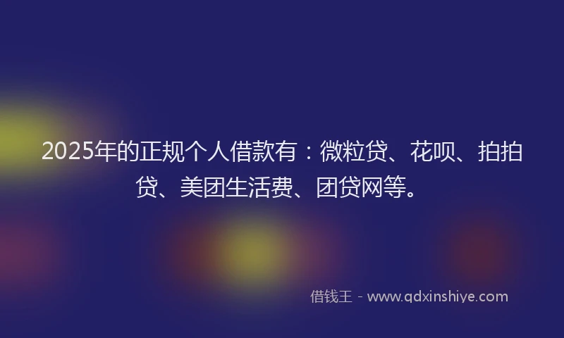 2025年的正规个人借款有：微粒贷、花呗、拍拍贷、美团生活费、团贷网等。