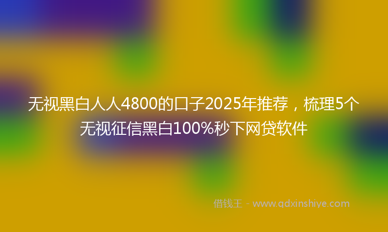 无视黑白人人4800的口子2025年推荐，梳理5个无视征信黑白100%秒下网贷软件