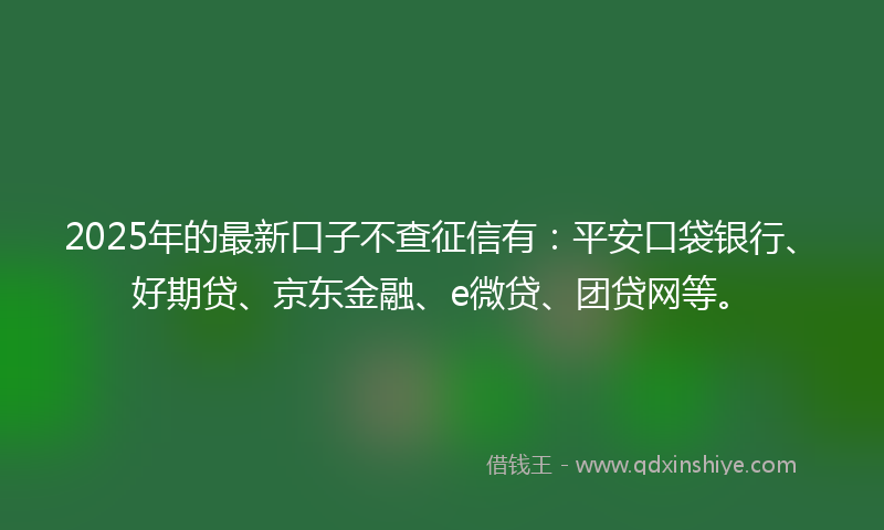 2025年的最新口子不查征信有：平安口袋银行、好期贷、京东金融、e微贷、团贷网等。