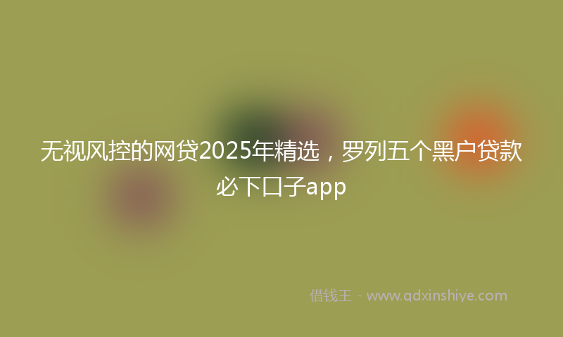 无视风控的网贷2025年精选，罗列五个黑户贷款必下口子app
