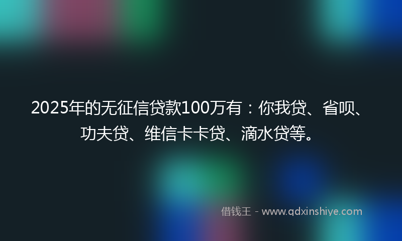 2025年的无征信贷款100万有：你我贷、省呗、功夫贷、维信卡卡贷、滴水贷等。