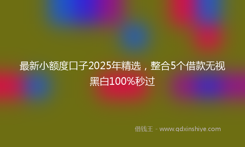 最新小额度口子2025年精选，整合5个借款无视黑白100%秒过