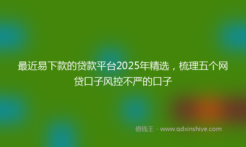 最近易下款的贷款平台2025年精选，梳理五个网贷口子风控不严的口子