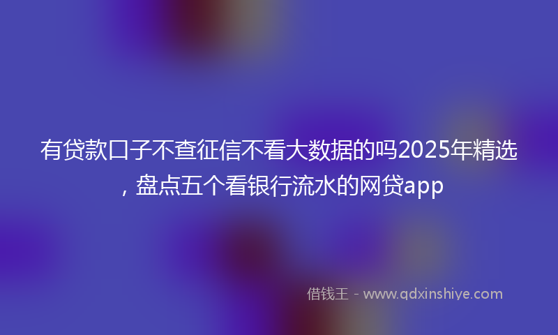 有贷款口子不查征信不看大数据的吗2025年精选，盘点五个看银行流水的网贷app