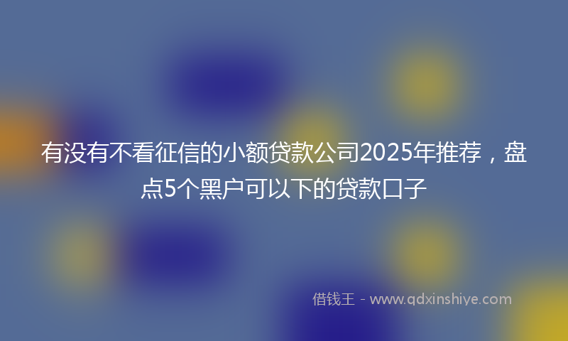 有没有不看征信的小额贷款公司2025年推荐，盘点5个黑户可以下的贷款口子