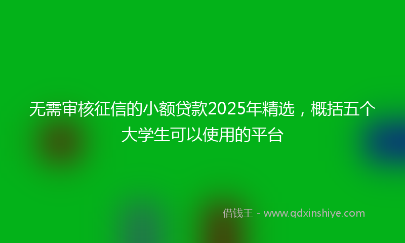无需审核征信的小额贷款2025年精选，概括五个大学生可以使用的平台