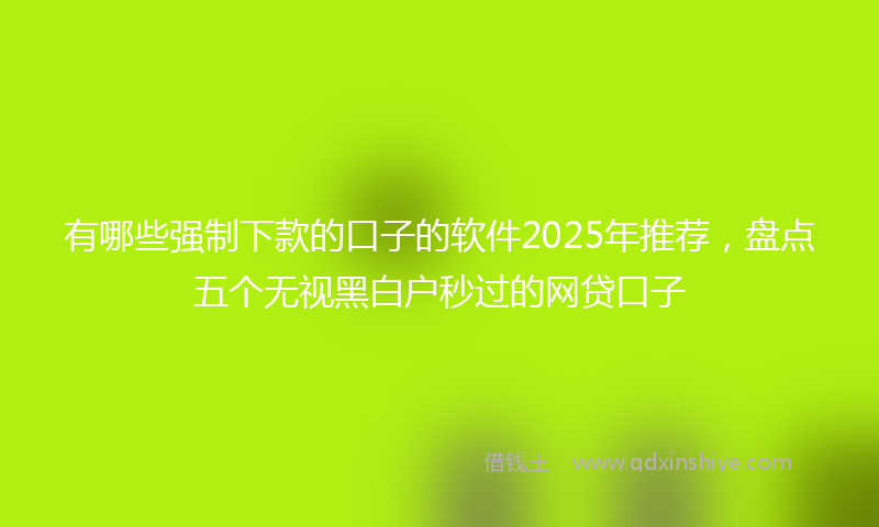 有哪些强制下款的口子的软件2025年推荐，盘点五个无视黑白户秒过的网贷口子