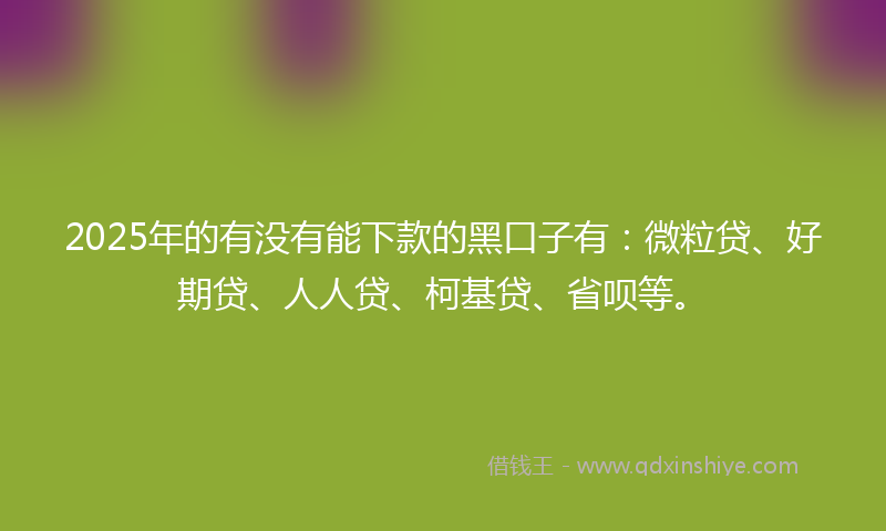 2025年的有没有能下款的黑口子有：微粒贷、好期贷、人人贷、柯基贷、省呗等。