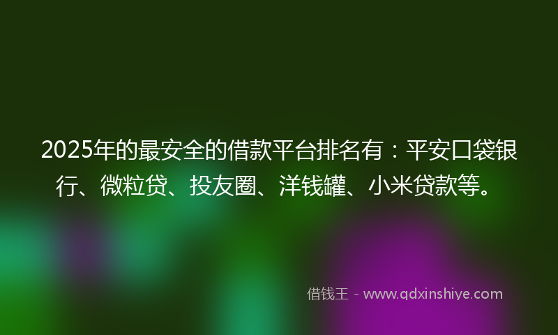 2025年的最安全的借款平台排名有：平安口袋银行、微粒贷、投友圈、洋钱罐、小米贷款等。