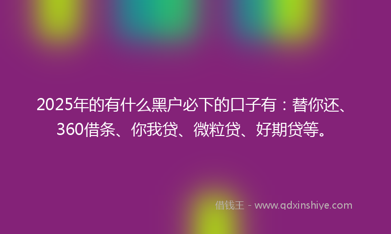 2025年的有什么黑户必下的口子有：替你还、360借条、你我贷、微粒贷、好期贷等。