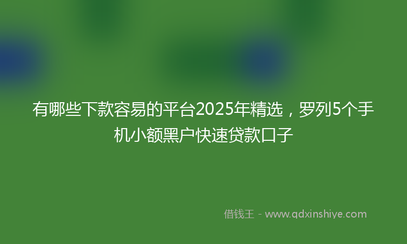 有哪些下款容易的平台2025年精选，罗列5个手机小额黑户快速贷款口子