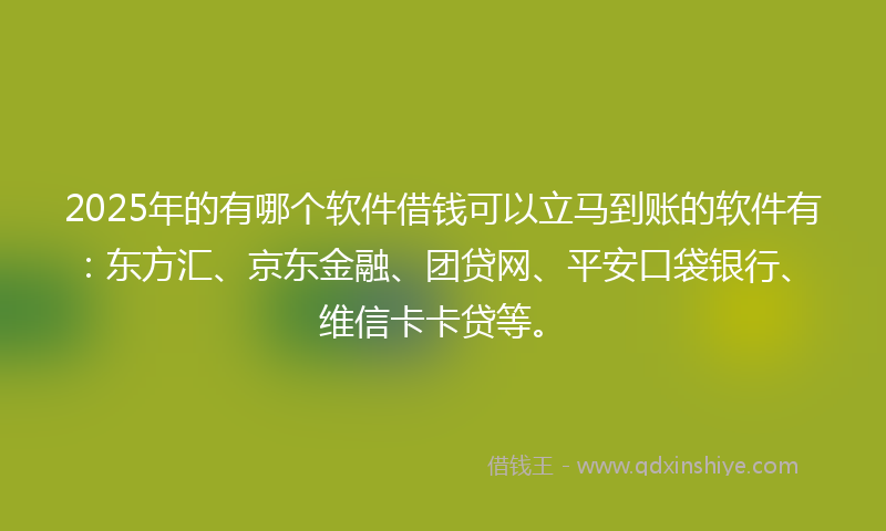 2025年的有哪个软件借钱可以立马到账的软件有：东方汇、京东金融、团贷网、平安口袋银行、维信卡卡贷等。