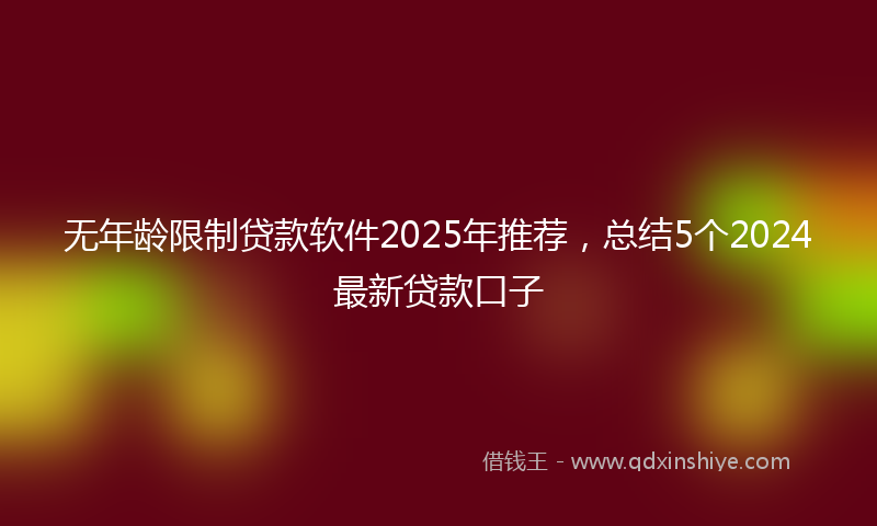 无年龄限制贷款软件2025年推荐，总结5个2024最新贷款口子