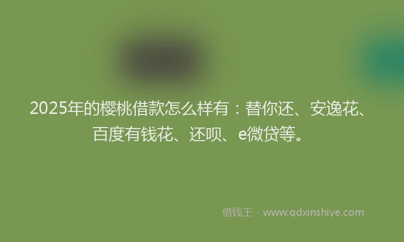 2025年的樱桃借款怎么样有：替你还、安逸花、百度有钱花、还呗、e微贷等。