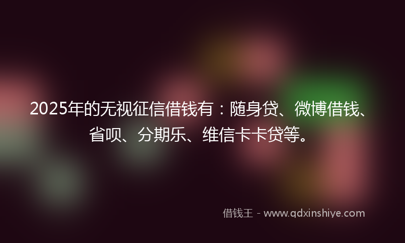 2025年的无视征信借钱有：随身贷、微博借钱、省呗、分期乐、维信卡卡贷等。