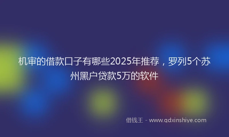 机审的借款口子有哪些2025年推荐，罗列5个苏州黑户贷款5万的软件
