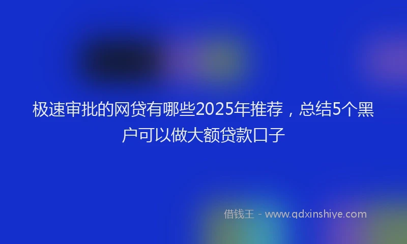 极速审批的网贷有哪些2025年推荐，总结5个黑户可以做大额贷款口子