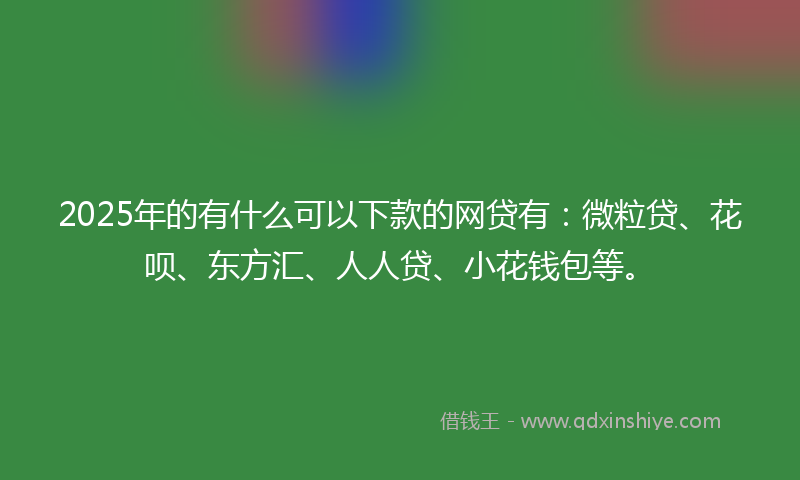 2025年的有什么可以下款的网贷有：微粒贷、花呗、东方汇、人人贷、小花钱包等。