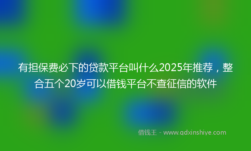 有担保费必下的贷款平台叫什么2025年推荐，整合五个20岁可以借钱平台不查征信的软件