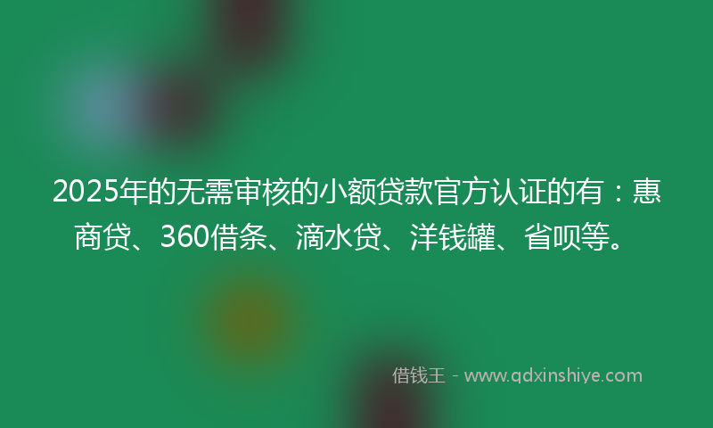 2025年的无需审核的小额贷款官方认证的有：惠商贷、360借条、滴水贷、洋钱罐、省呗等。