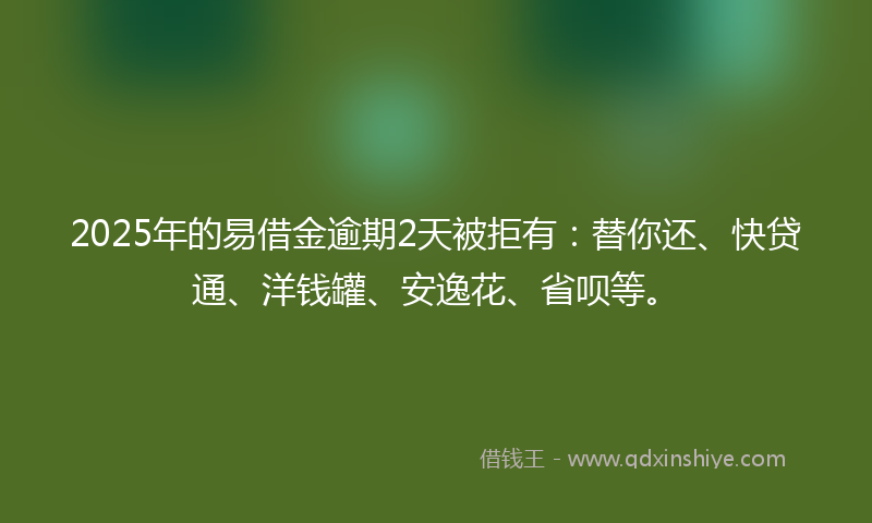 2025年的易借金逾期2天被拒有：替你还、快贷通、洋钱罐、安逸花、省呗等。