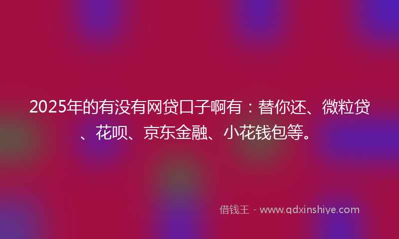 2025年的有没有网贷口子啊有：替你还、微粒贷、花呗、京东金融、小花钱包等。