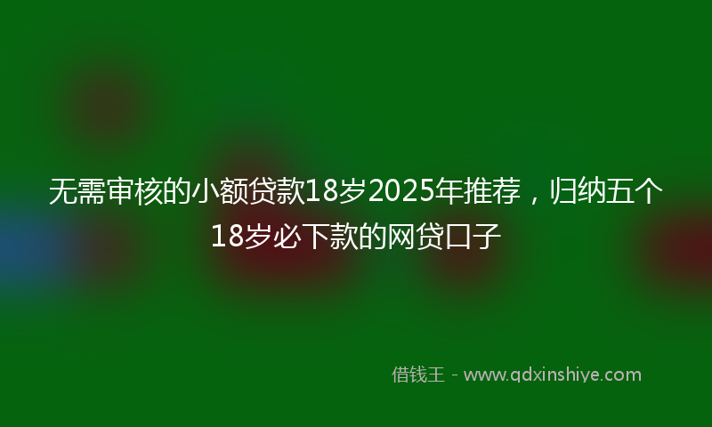 无需审核的小额贷款18岁2025年推荐，归纳五个18岁必下款的网贷口子