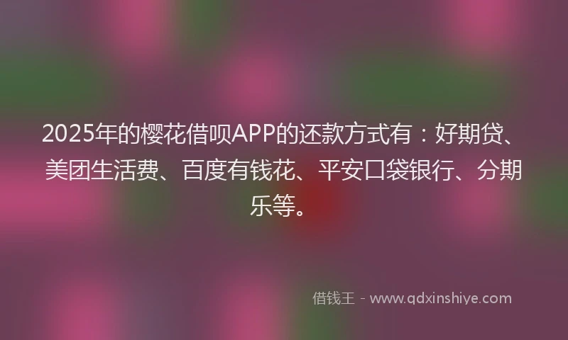 2025年的樱花借呗APP的还款方式有：好期贷、美团生活费、百度有钱花、平安口袋银行、分期乐等。